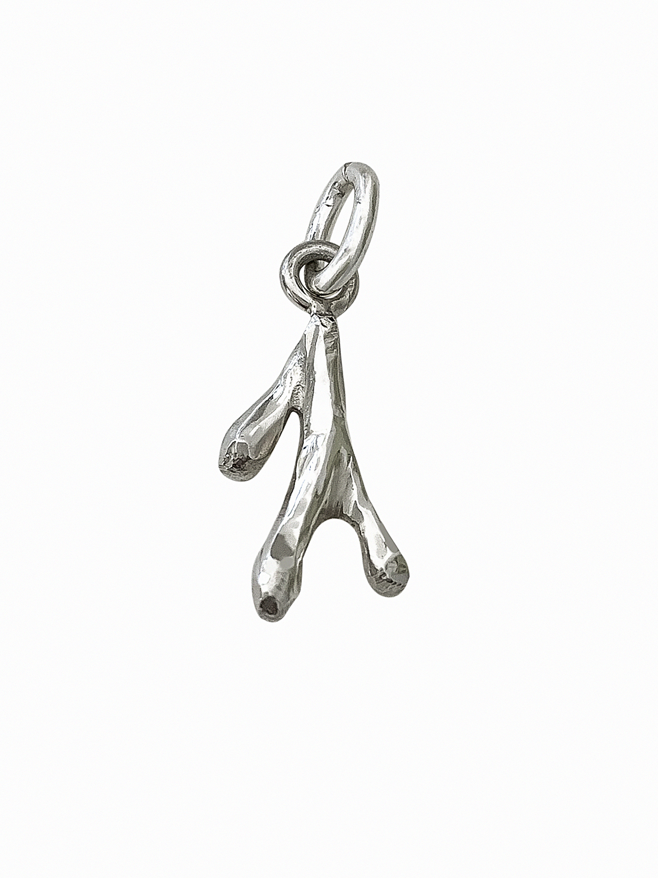 CHARM CORALLINO