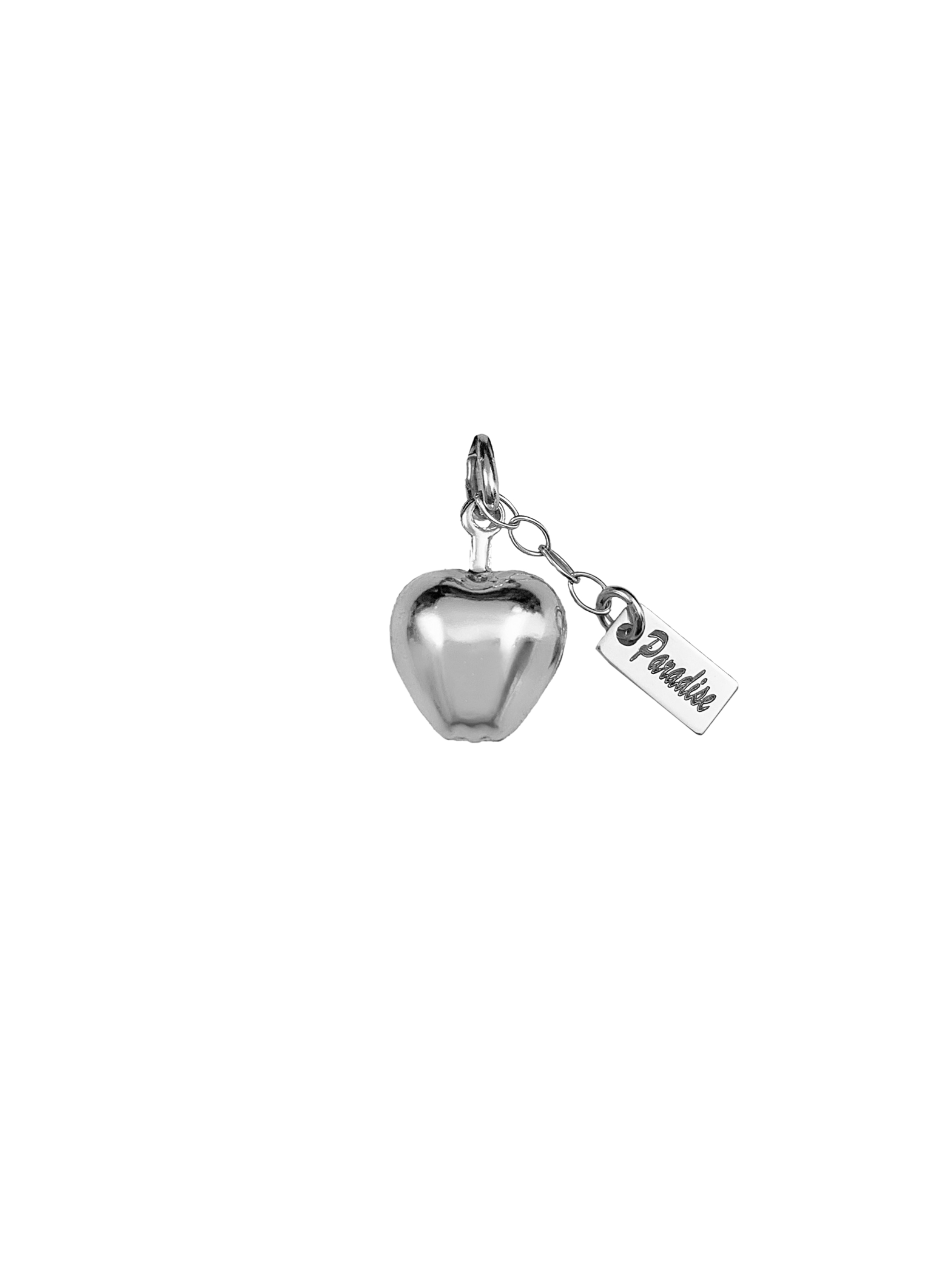 Charm in argento L'ape-Mijn bedels-per il tuo bracciale pandora