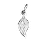 CHARM FOGLIA