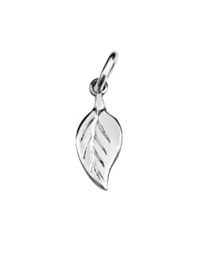 CHARM FOGLIA