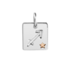 SIGILLO ZODIACO SAGITTARIO CON STELLINA