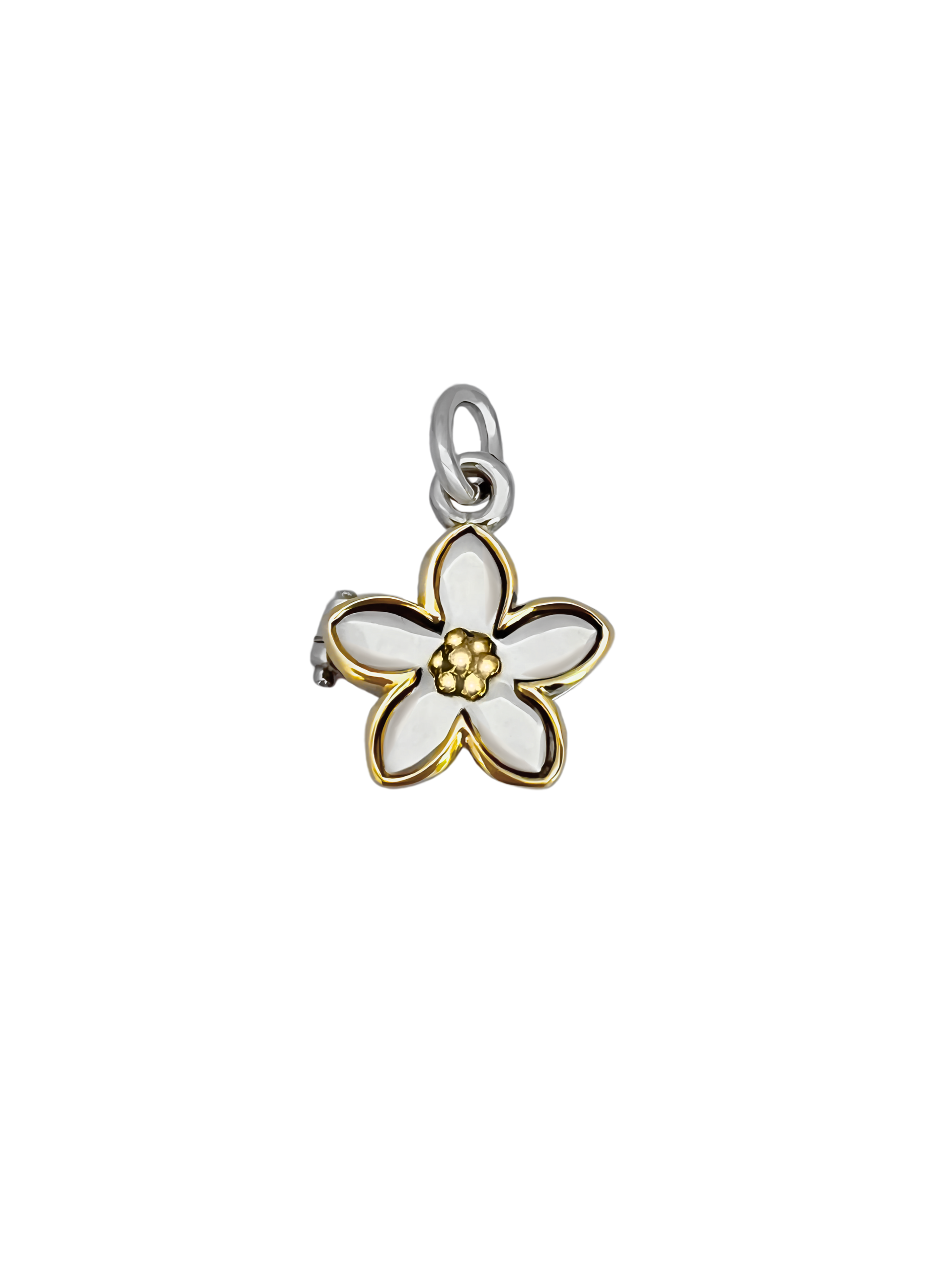 MEDAGLIONE FIORE DELLE DONNE - immagine 3