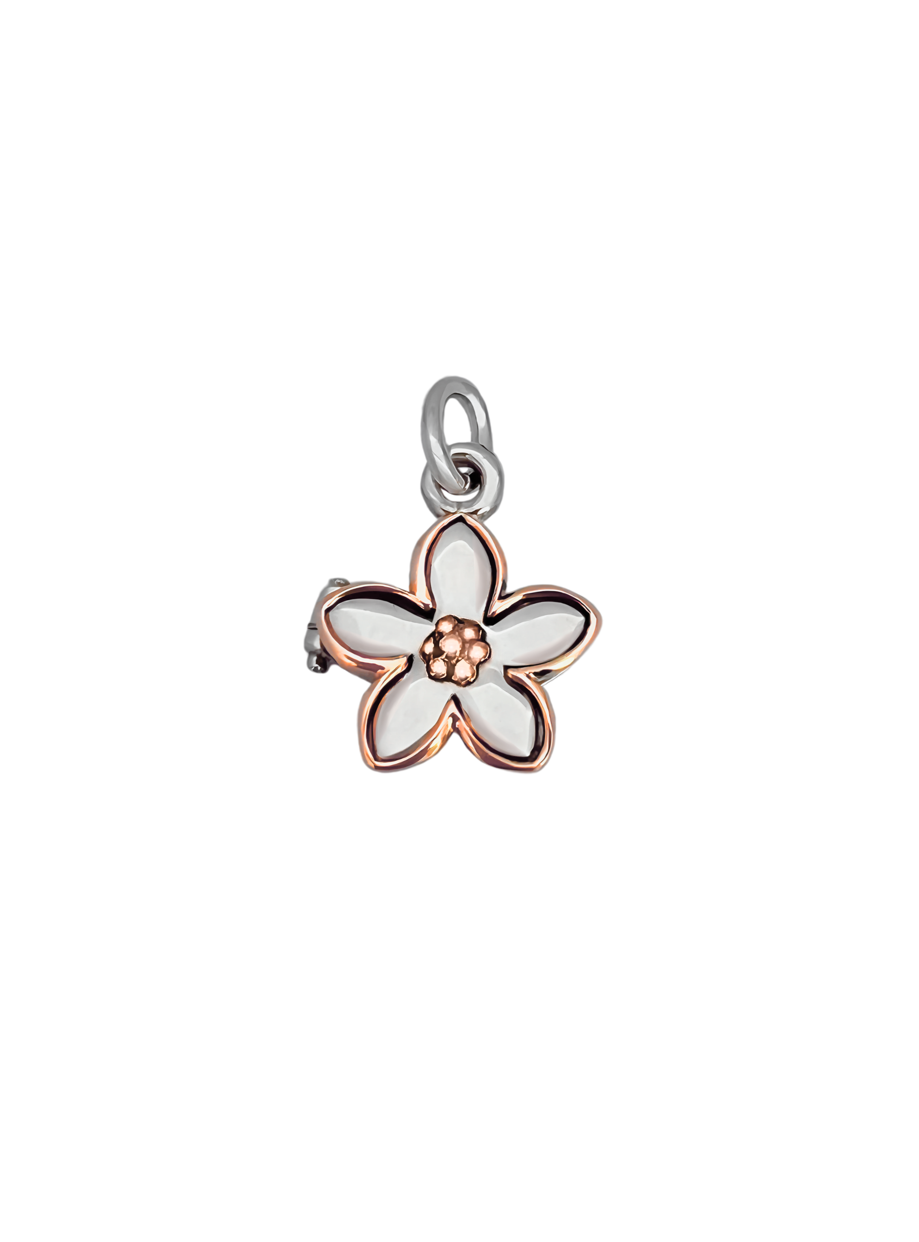 Collana con medaglione di fiori, ciondolo con cornice per foto ricordo, collana con medaglione iniziale personalizzata con foto, regalo per mamma/nonna/ donne