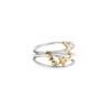 ANELLO CELESTIA